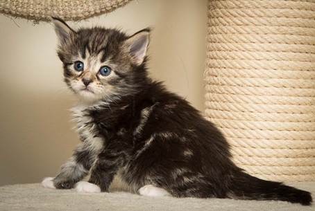 20140415_Y-kull_4_weeks_0068