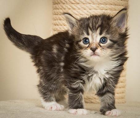 20140415_Y-kull_4_weeks_0065