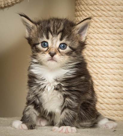 20140415_Y-kull_4_weeks_0071