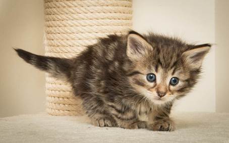 20140421_Y-kull_5_weeks_0005