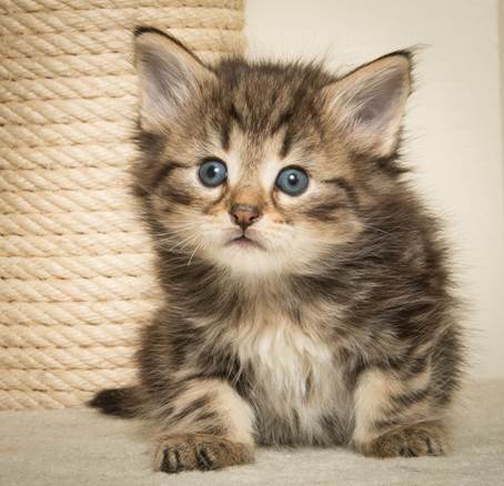 20140421_Y-kull_5_weeks_0004