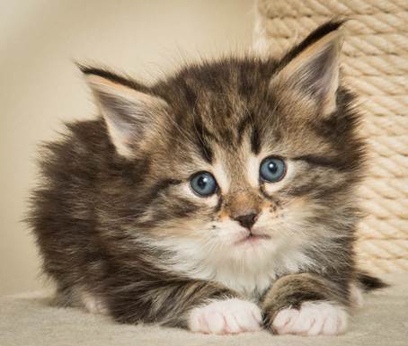 20140421_Y-kull_5_weeks_0016