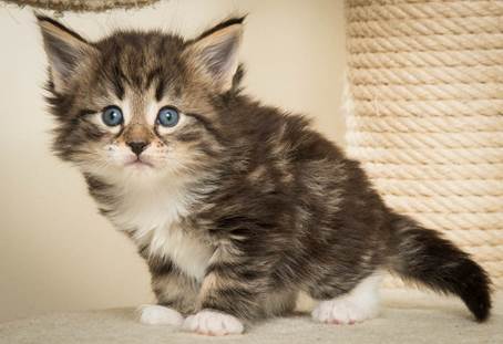 20140421_Y-kull_5_weeks_0014