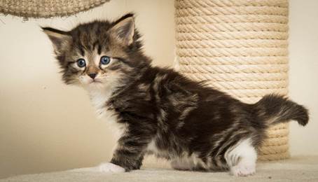 20140421_Y-kull_5_weeks_0013