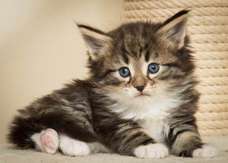 20140421_Y-kull_5_weeks_0021