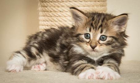 20140421_Y-kull_5_weeks_0031