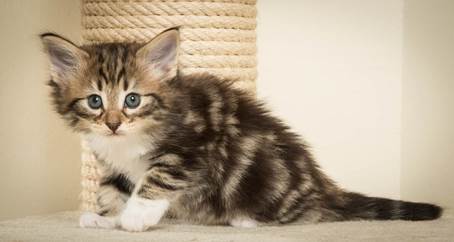 20140421_Y-kull_5_weeks_0026