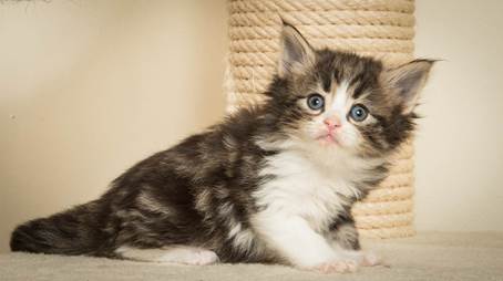 20140421_Y-kull_5_weeks_0041