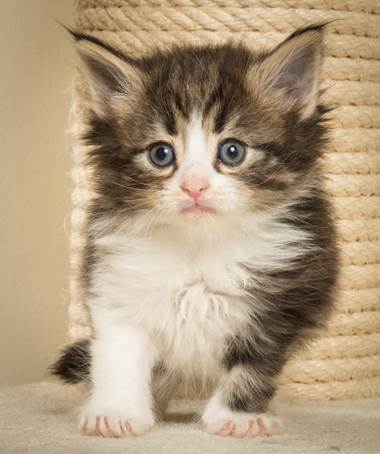 20140421_Y-kull_5_weeks_0040