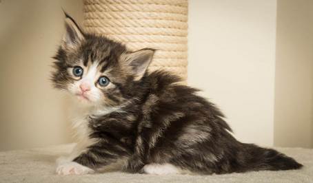 20140421_Y-kull_5_weeks_0044