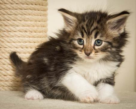 20140421_Y-kull_5_weeks_0049