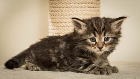 20140421_Y-kull_5_weeks_0058