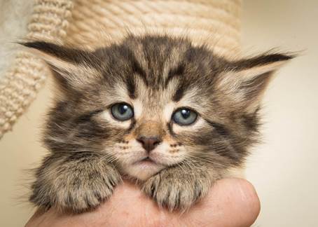 20140421_Y-kull_5_weeks_0064