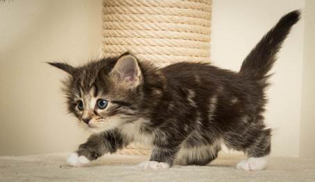 20140421_Y-kull_5_weeks_0075