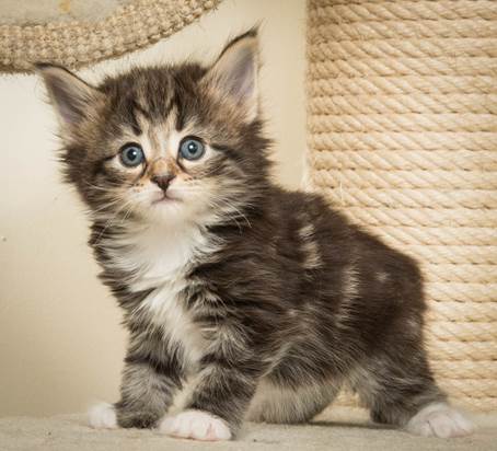 20140421_Y-kull_5_weeks_0069