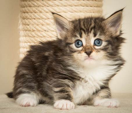 20140421_Y-kull_5_weeks_0080