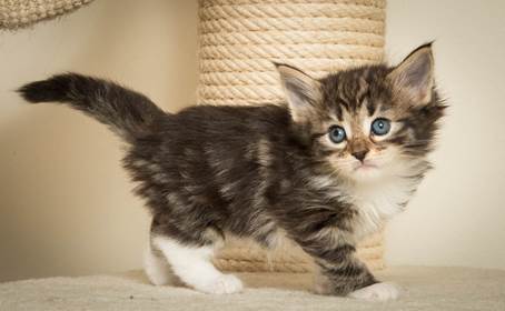 20140421_Y-kull_5_weeks_0088