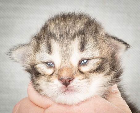 20140326_Y-kull_8_days_0012