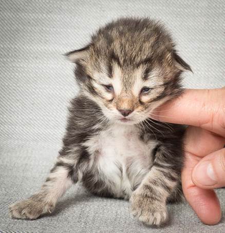 20140326_Y-kull_8_days_0010