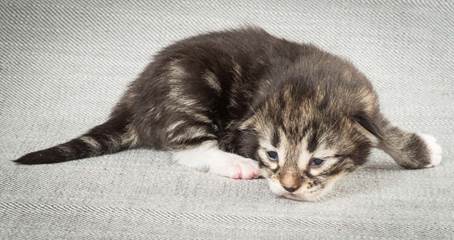 20140326_Y-kull_8_days_0024