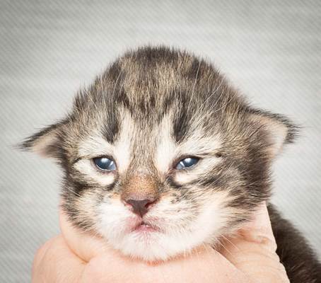 20140326_Y-kull_8_days_0022