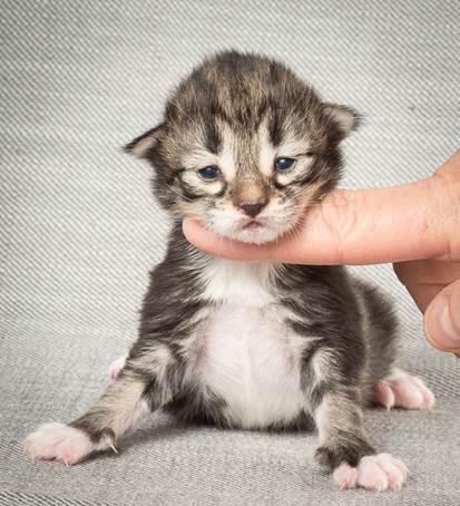 20140326_Y-kull_8_days_0021