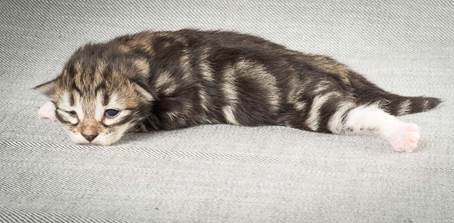 20140326_Y-kull_8_days_0032