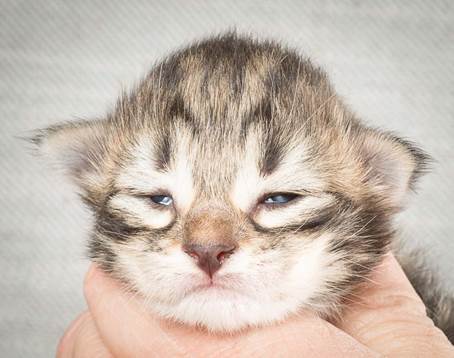 20140326_Y-kull_8_days_0030