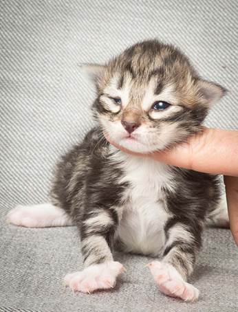 20140326_Y-kull_8_days_0028