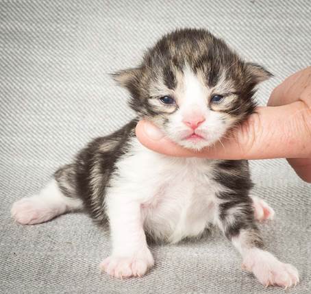 20140326_Y-kull_8_days_0036