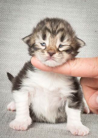 20140326_Y-kull_8_days_0045