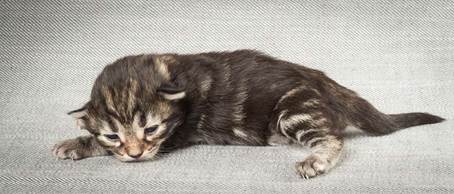 20140326_Y-kull_8_days_0055