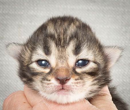 20140326_Y-kull_8_days_0053