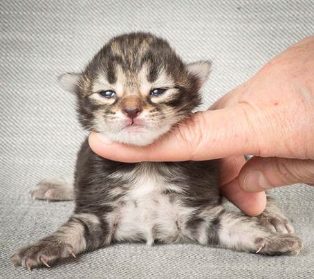 20140326_Y-kull_8_days_0052