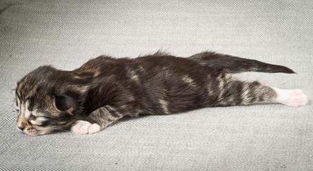 20140326_Y-kull_8_days_0064