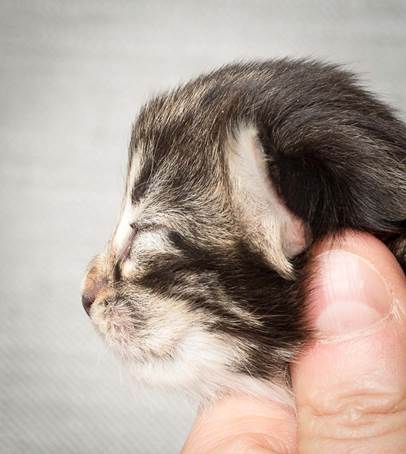 20140326_Y-kull_8_days_0063