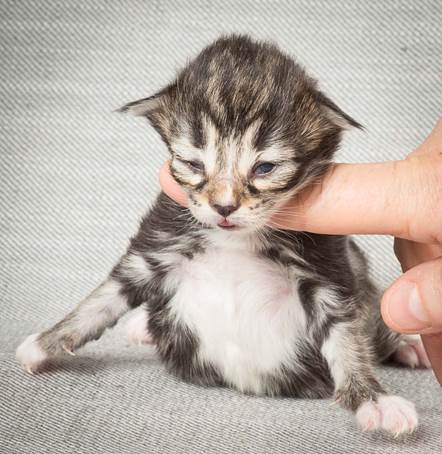 20140326_Y-kull_8_days_0059