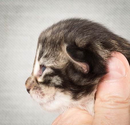 20140326_Y-kull_8_days_0070