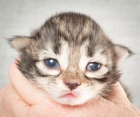 20140326_Y-kull_8_days_0069