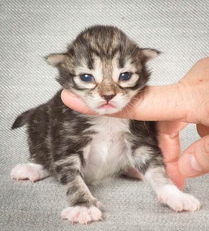 20140326_Y-kull_8_days_0068