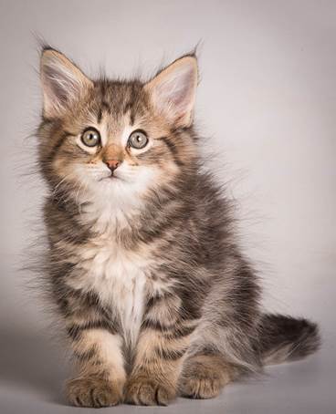 20140513_Y-kull_8_weeks_0007