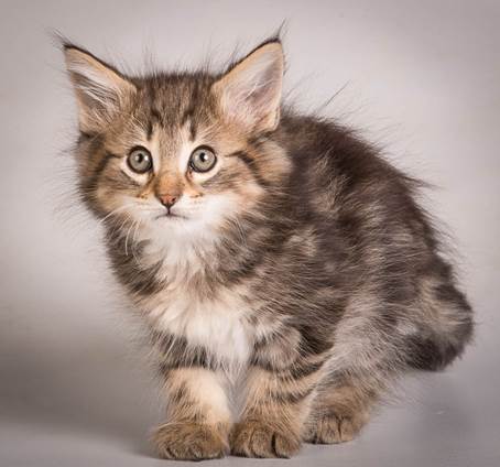 20140513_Y-kull_8_weeks_0006