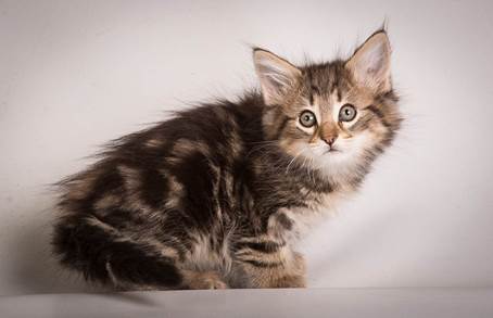 20140513_Y-kull_8_weeks_0004