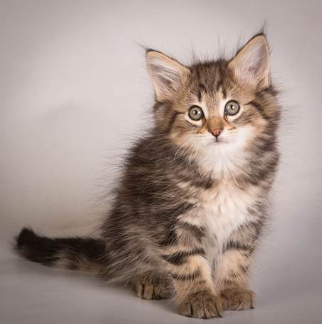 20140513_Y-kull_8_weeks_0013