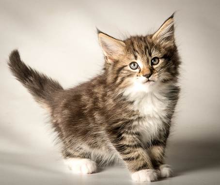 20140513_Y-kull_8_weeks_0020