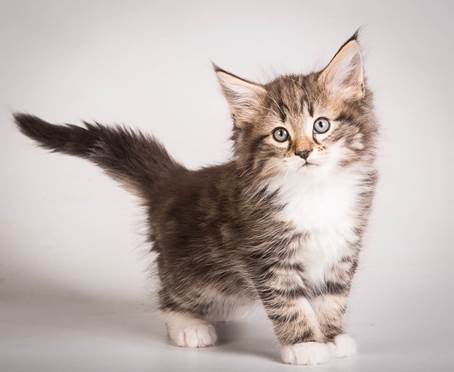 20140513_Y-kull_8_weeks_0019