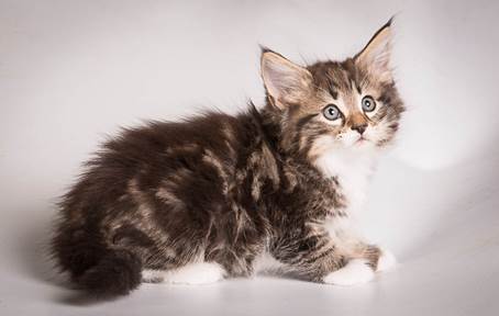 20140513_Y-kull_8_weeks_0016