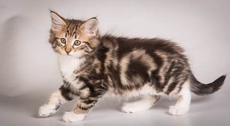 20140513_Y-kull_8_weeks_0040