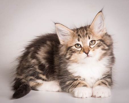 20140513_Y-kull_8_weeks_0038