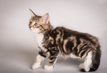 20140513_Y-kull_8_weeks_0037